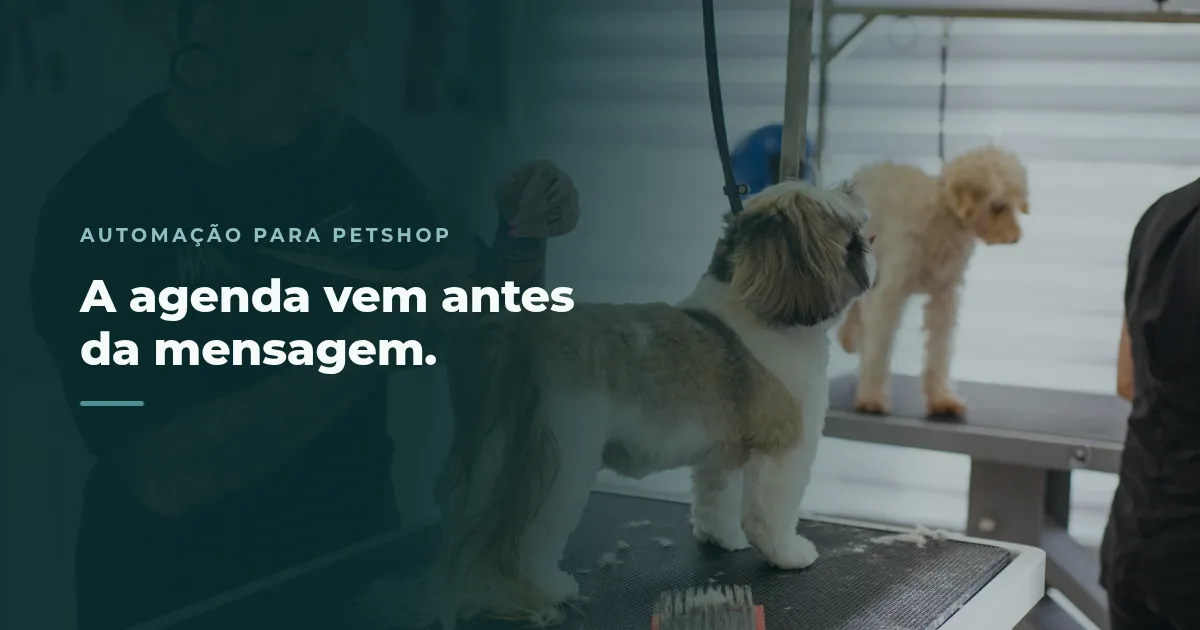 Tosadora finalizando a tosa de um shih tzu enquanto outro cão espera na mesa ao lado